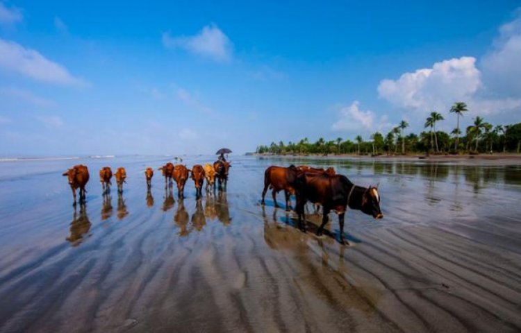 প্রায় ১৮ কিলোমিটার দীর্ঘ কুয়াকাটার সমুদ্র সৈকত৷ এ সৈকতের পূর্বে গঙ্গামতি আর পশ্চিম প্রান্তে বিশাল জেলে পল্লী৷