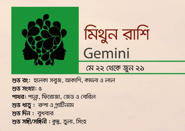 কেমন যাবে ২০১৯ > মিথুন রাশি