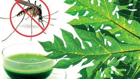 ডেঙ্গু হলে কী খাবেন?