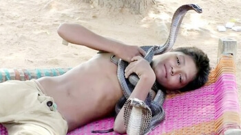 সাপকে জড়িয়ে রেখে সময় কাটছে ৭ বছরের কিশোরের